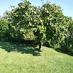 Casa di campagna Jardin De La Yedra Caces