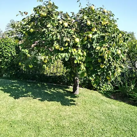 Country house Jardin De La Yedra Caceres