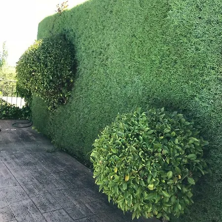 Jardin De La Yedra Country house *