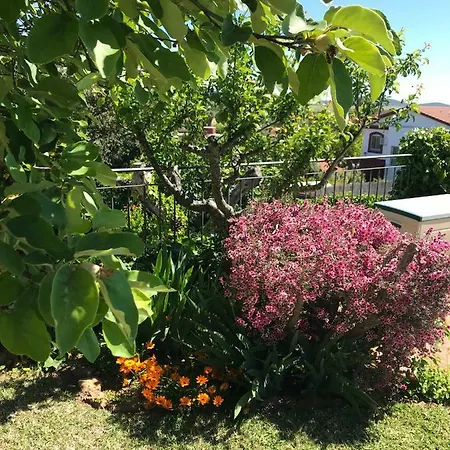 Jardin De La Yedra Caceres