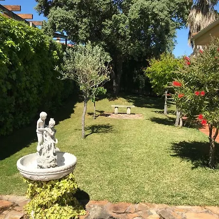 Jardin De La Yedra *