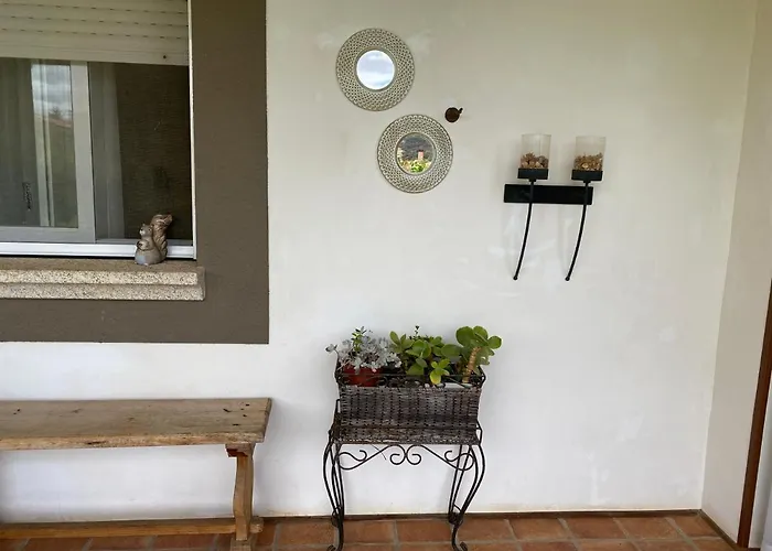 Jardin De La Yedra * Caces