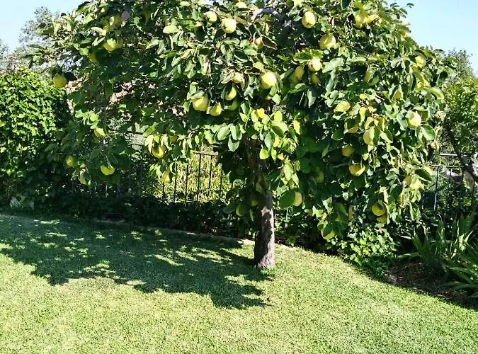 乡村民宿 Jardin De La Yedra Caces