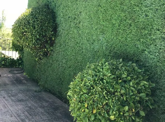 Jardin De La Yedra Landhaus *