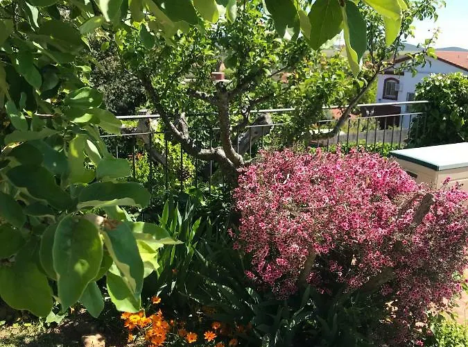 Jardin De La Yedra Caces